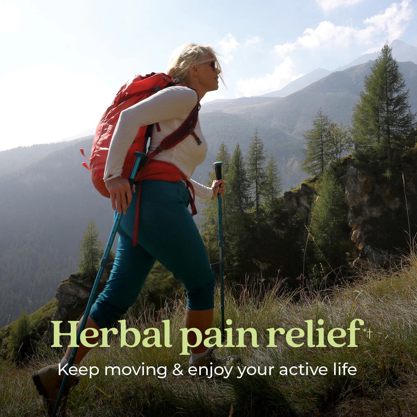 Zyflamend™ Herbal Pain Relief, Healthy Inflammation & Joint Support - Image 6
